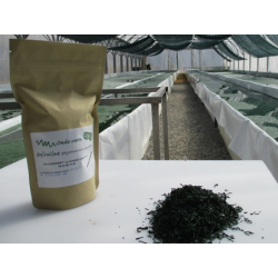 Sachet de spiruline 100gr